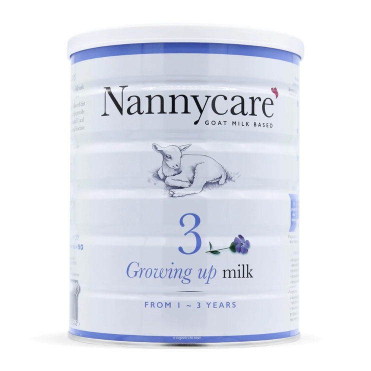 NannyCare stage 3